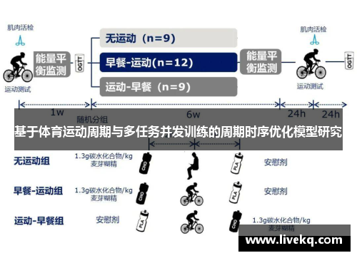 基于体育运动周期与多任务并发训练的周期时序优化模型研究